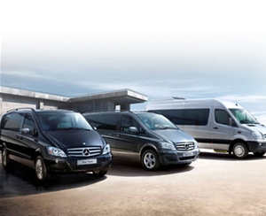 奔馳商務(wù)車(chē)1