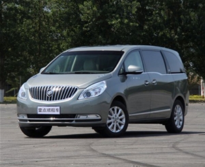 商務(wù)車(chē)（4）